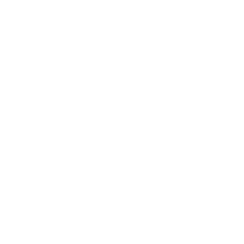Partner logo 4